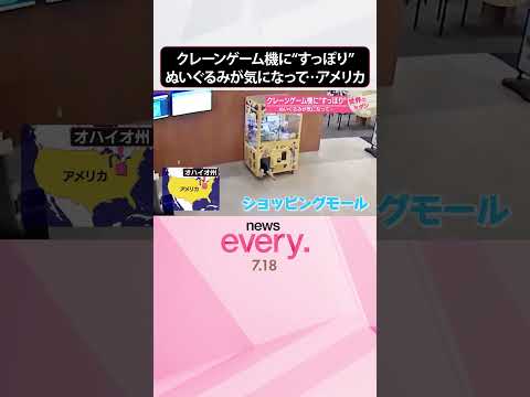 【アメリカ】クレーンゲーム機に“すっぽり” ぬいぐるみが気になって…『世界のミダシ』 #shorts