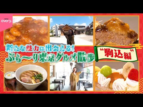 【東京グルメ散歩】老舗そば＆手作りスイーツ＆ラーメン！意外と知らない「駒込」を深掘り『every.特集』