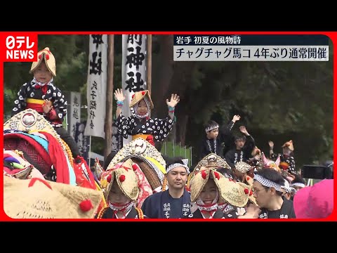 【チャグチャグ馬コ】4年ぶりに通常開催　岩手の初夏の風物詩「キラキラしててかわいい」