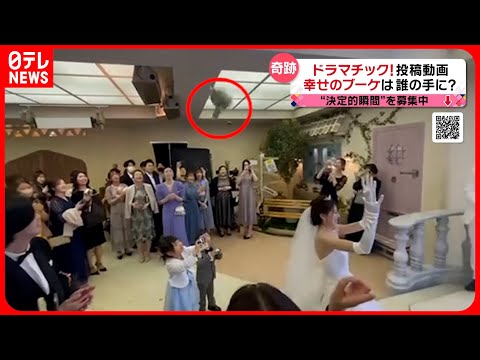 【投稿動画】結婚式 ブーケトスの行き先は…『every.特集』