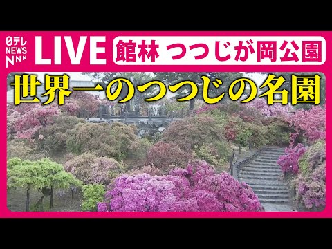 【天気ライブ】“世界一のつつじの名園”館林市つつじが岡公園 ──The world&#039;s best azalea garden Gunma, Tatebayashi City（日テレNEWS LIVE）