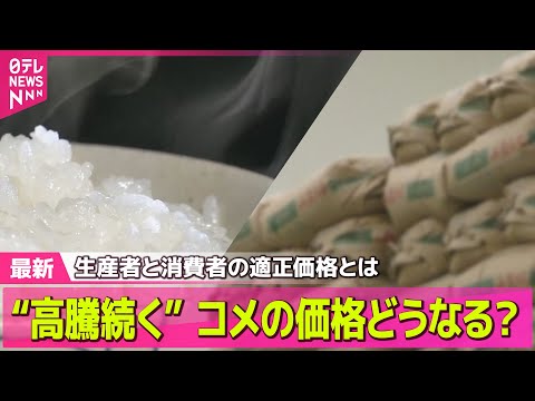 【コメ価格】自民・小野寺政調会長、備蓄米の倉庫視察　安く売り出せる対策急ぐ考え示す/ コメ価格18週ぶり下落　「備蓄米」効果は？──ニュースライブ（日テレNEWS LIVE）
