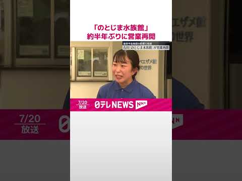 【約半年ぶりに営業再開】石川「のとじま水族館」　能登半島地震の影響で休館 #shorts