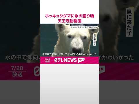 【ホッキョクグマに】氷のプレゼント　大阪・天王寺動物園 #shorts