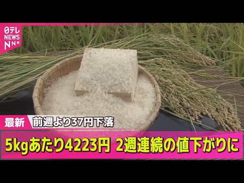【コメ価格】銘柄米の価格や品ぞろえに変化　「値下げ」に「入荷」も…背景に何が？ ── 経済ニュースライブ（日テレNEWS LIVE）